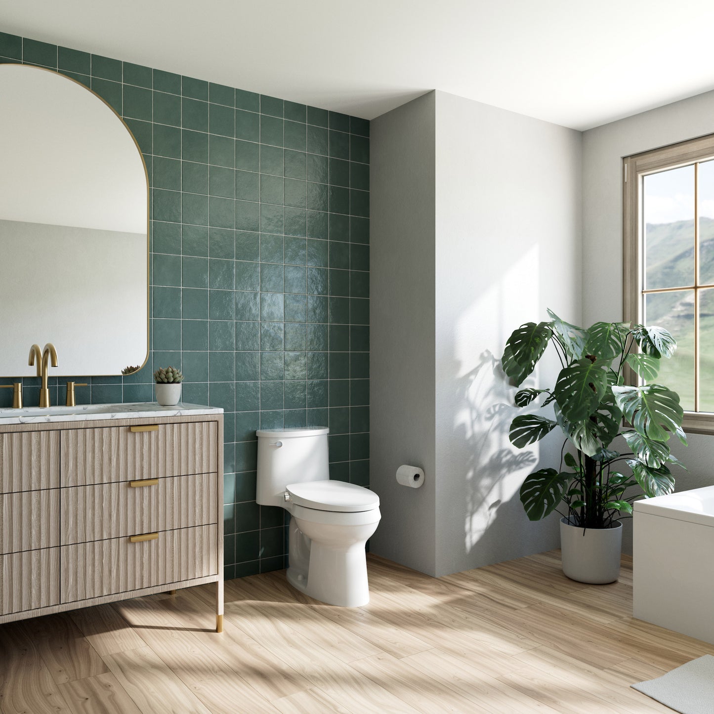 Brondell Swash CL150 Elongated Bidet Toilet Seat