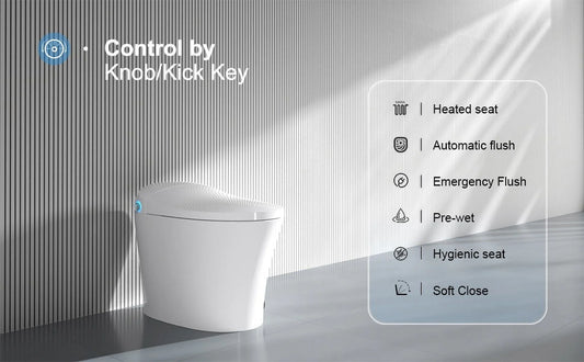 Horow Smart Toilet with Heated Seat, Automatic Power Flush Tankless,Ceramic One Piece Toilets no bidet