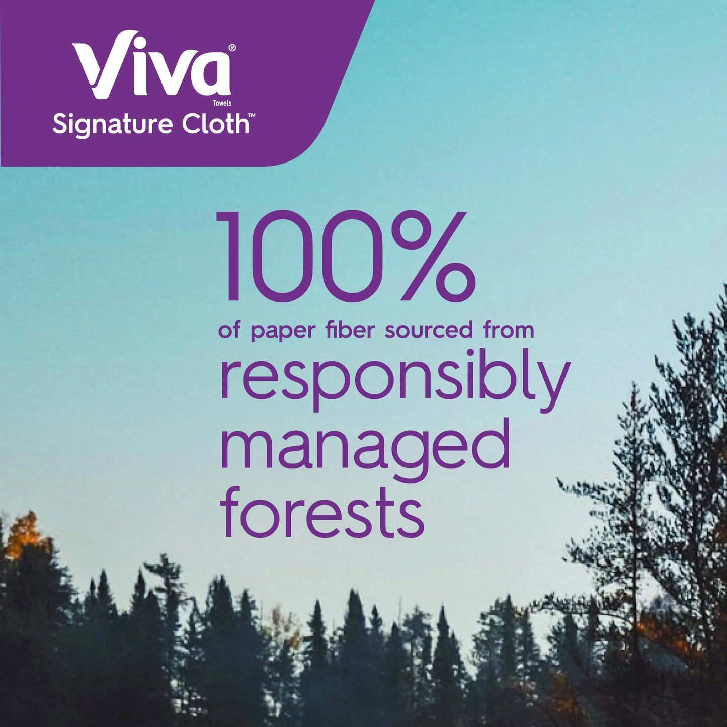 Viva Signature Cloth Paper Towels, 1 Double Roll (94 Sheets per Roll)