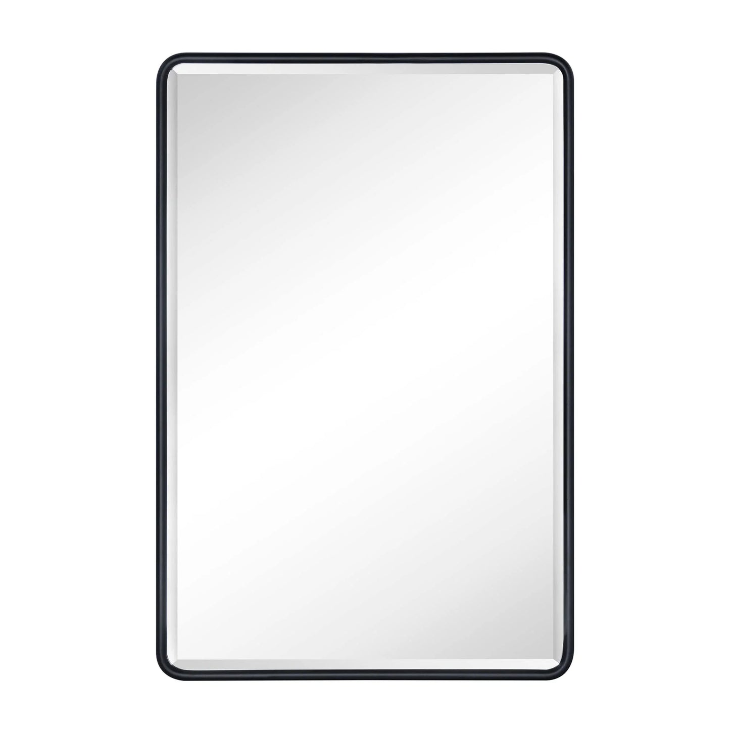 TEHOME Eldee Rectangle Metal Framed Bathroom Medicine Cabinet 16x24 - Black