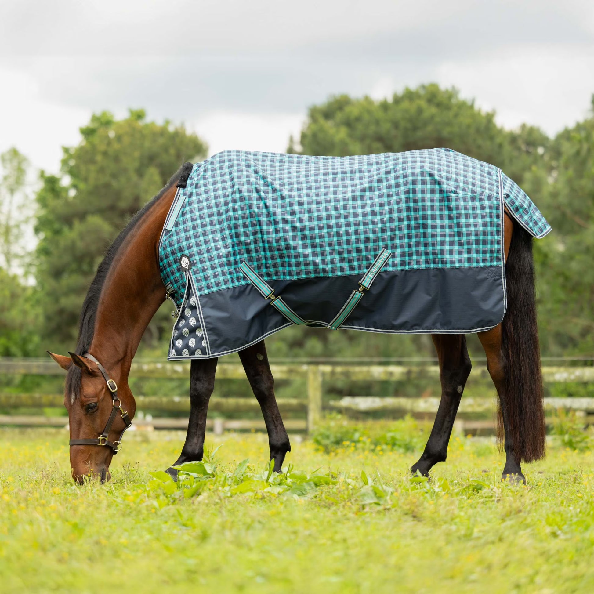 Equinavia Norse Lightweight Turnout Blanket 100g