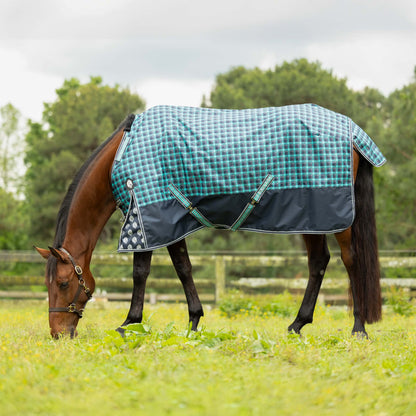 Equinavia Norse Lightweight Turnout Blanket 100g