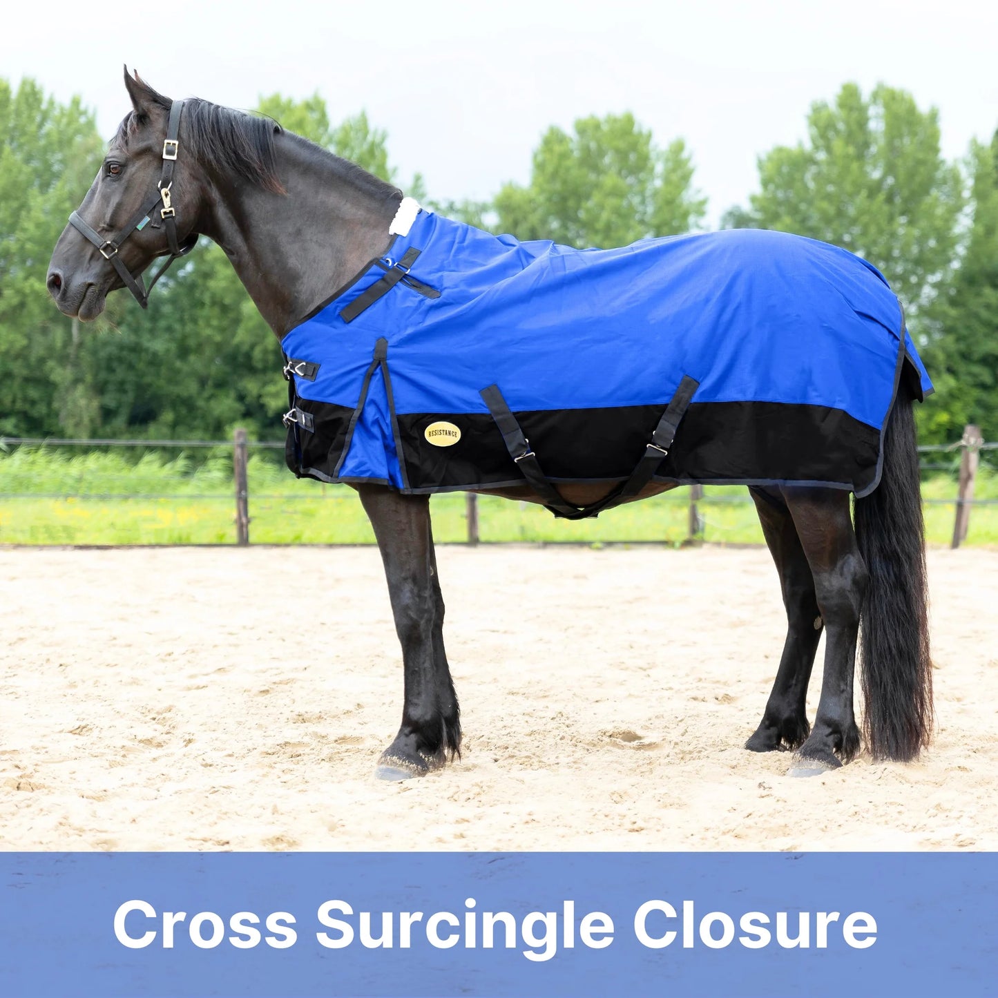RESISTANCE Premium 1200D Waterproof Horse Turnout Blanket with 300g Polyfill & Adjustable Buckle Closure