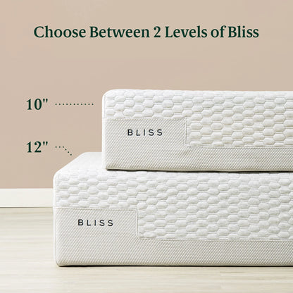 Zinus 12" Bliss Memory Foam Mattress, Made of US Foam and Global Materials, Twin