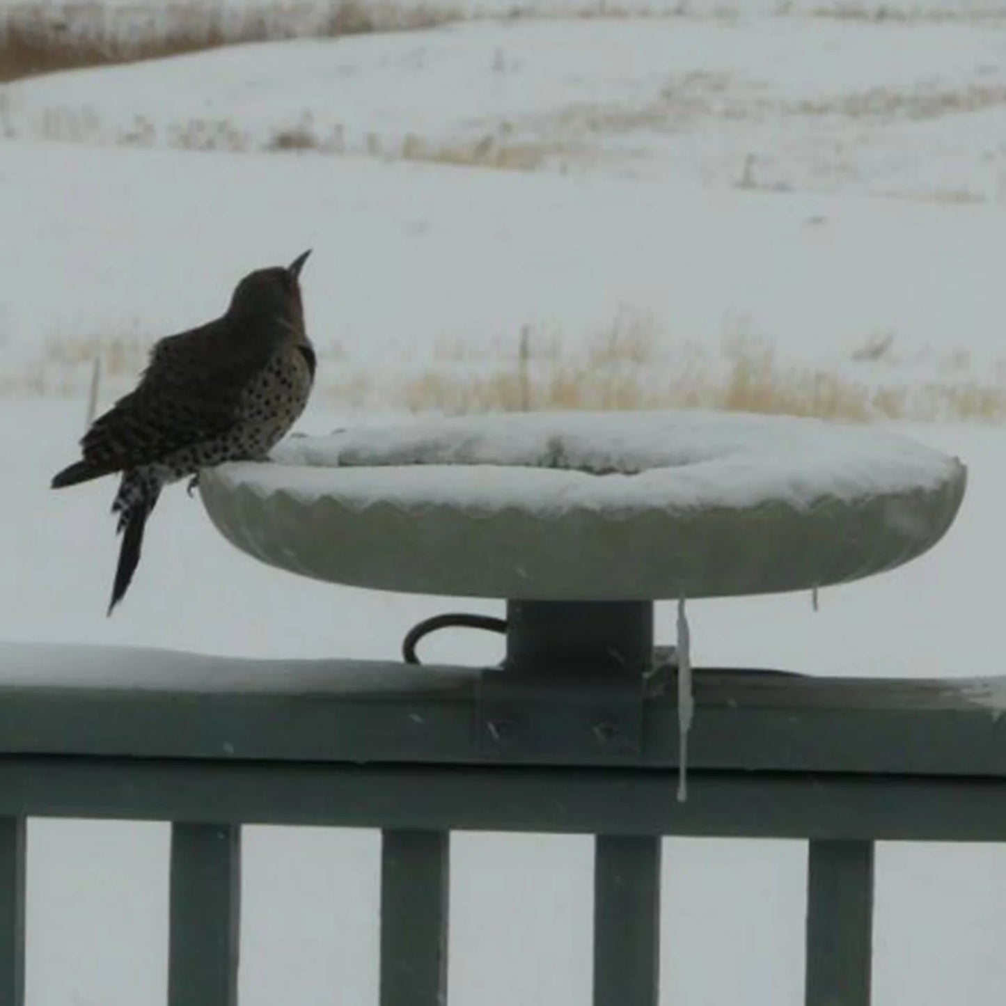 Farm Innovators Outdoor Heated Bird Bath, 120W Stone Birdbath w/Deck Mount