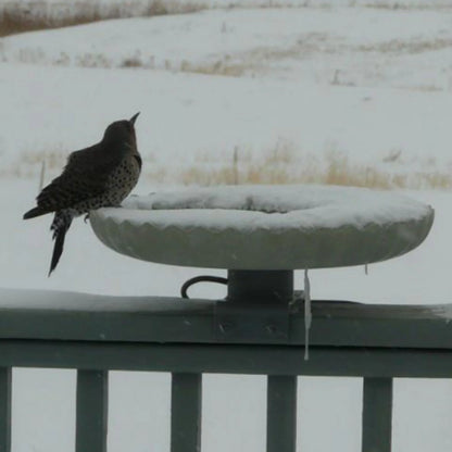 Farm Innovators Outdoor Heated Bird Bath, 120W Stone Birdbath w/Deck Mount