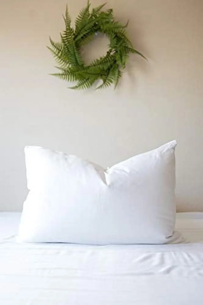 Pacific Coast Touch of Down King Size 2-Pillow Set with 2 King Size Pillowtex Pillow Protectors