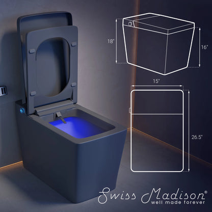 Concorde One Piece Smart Toilet 1.28 GPF in Matte Gray with Heated Bidet, Air Drying, Night Light, Foot Sensor