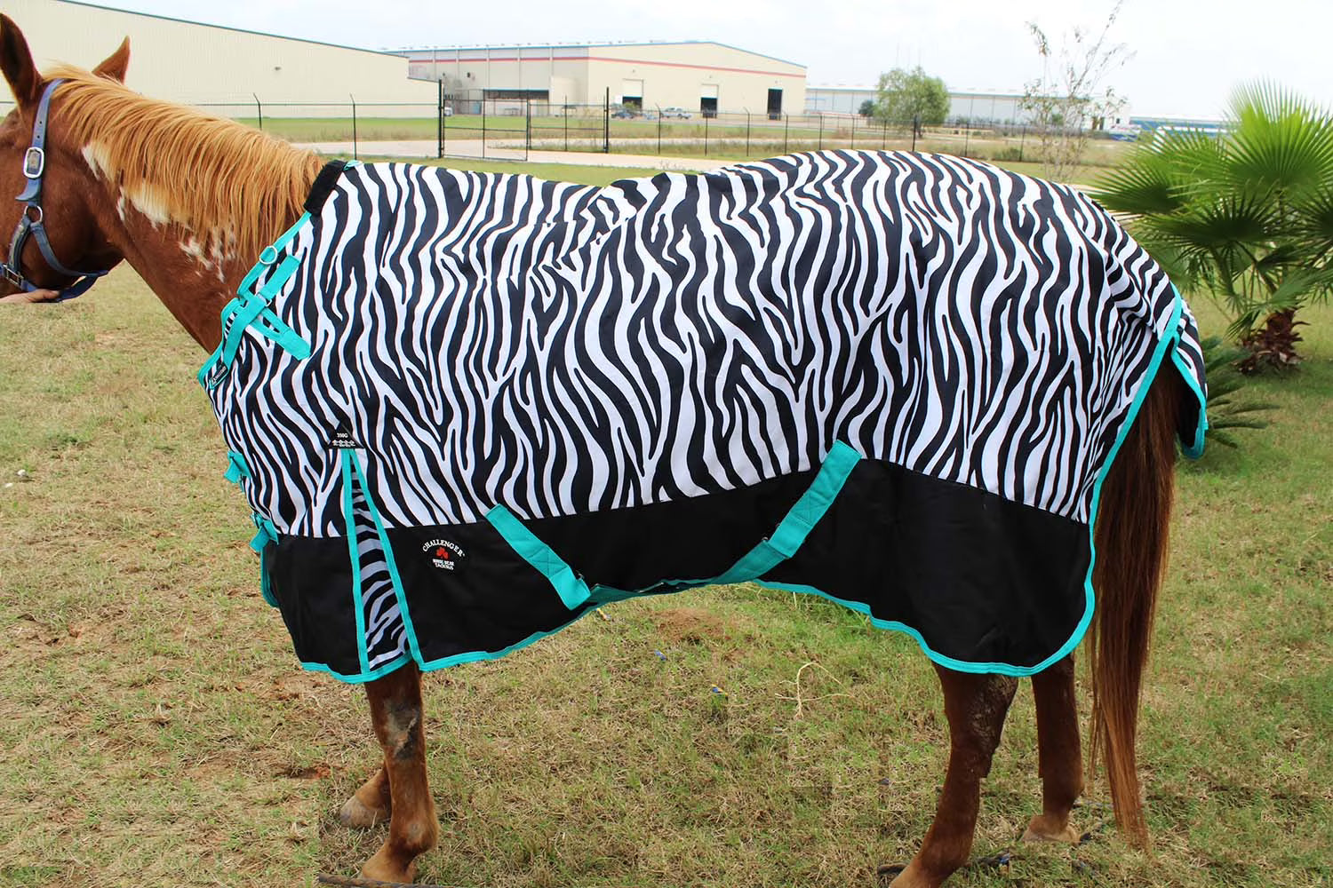 80" 1000D Turnout Waterproof Horse WINTER Coat BLANKET Zebra 104