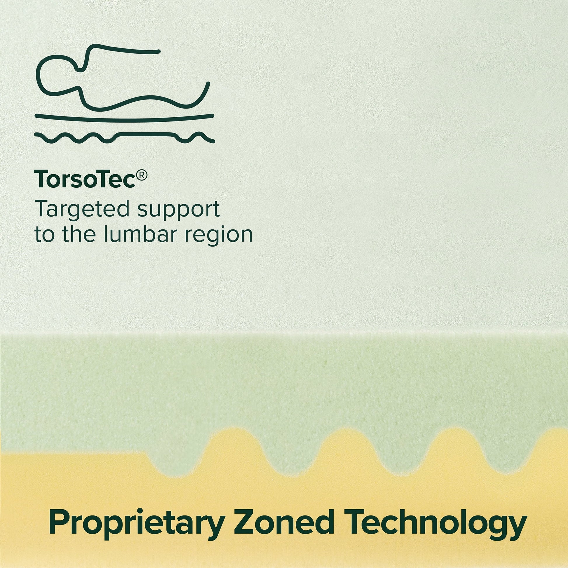 Spa Sensations by Zinus 4" Green Tea TorsoTec Memory Foam Mattress Topper, Twin