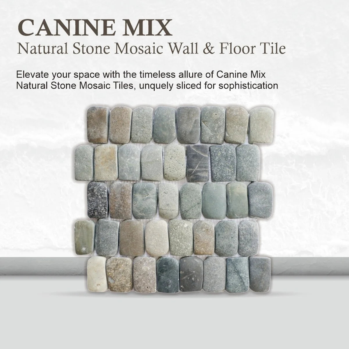 Canine Mix Pebble Mosaic Tiles for Backsplash Kitchen and Bathroom Wall (12" X 12") 5 tiles per case