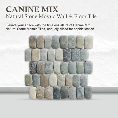 Canine Mix Pebble Mosaic Tiles for Backsplash Kitchen and Bathroom Wall (12" X 12") 5 tiles per case