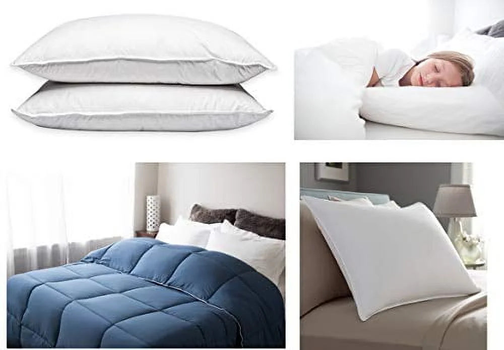 Pacific Coast Touch of Down King Size 2-Pillow Set with 2 King Size Pillowtex Pillow Protectors