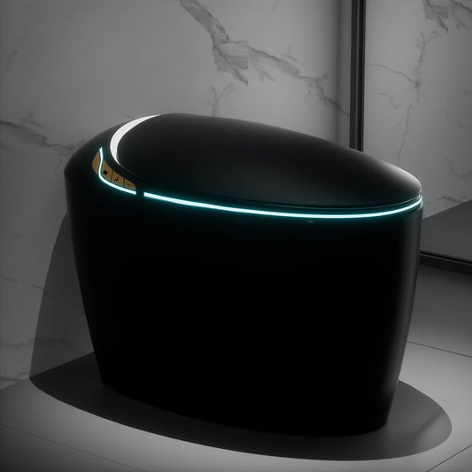 WinZo Smart Toilet with Bidet Seat, Elongated Egg Shaped Modern Design, Auto Open and Flush, Adjusted Heated Seat, Warm Water and Dryer, Night Light, Side Buttons, Matte Black