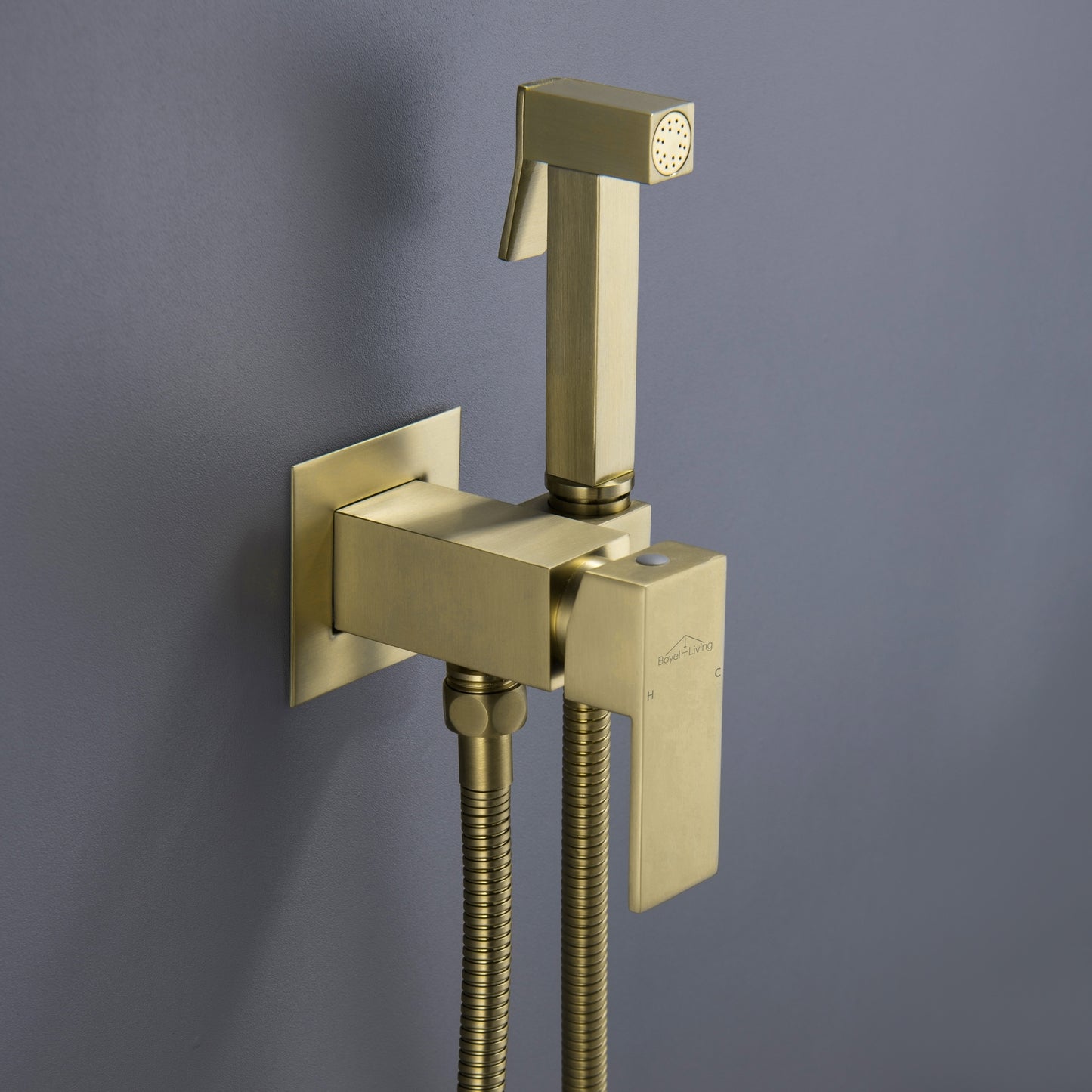 Clihome Wall Mount Single-Handle Bidet Faucet with Handle Gold Brushed