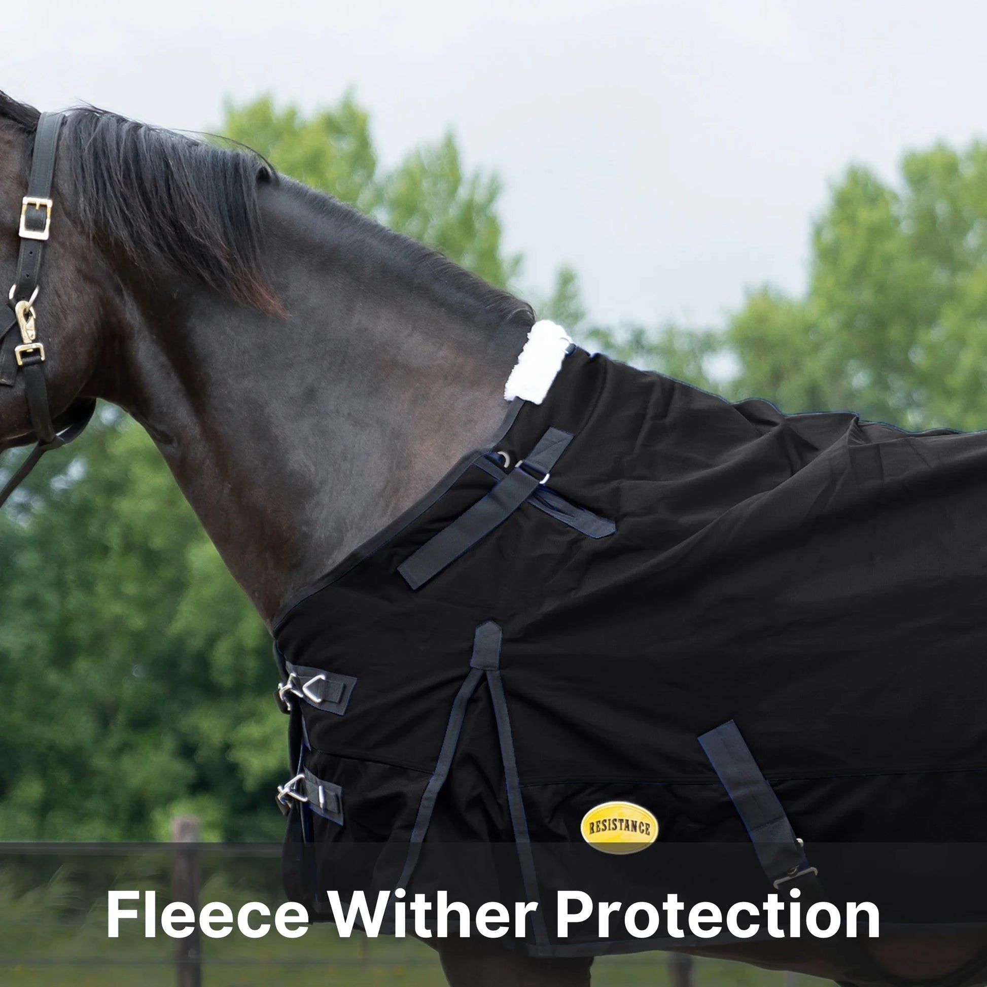 RESISTANCE Premium 1200D Waterproof Horse Turnout Blanket with 300g Polyfill & Adjustable Buckle Closure