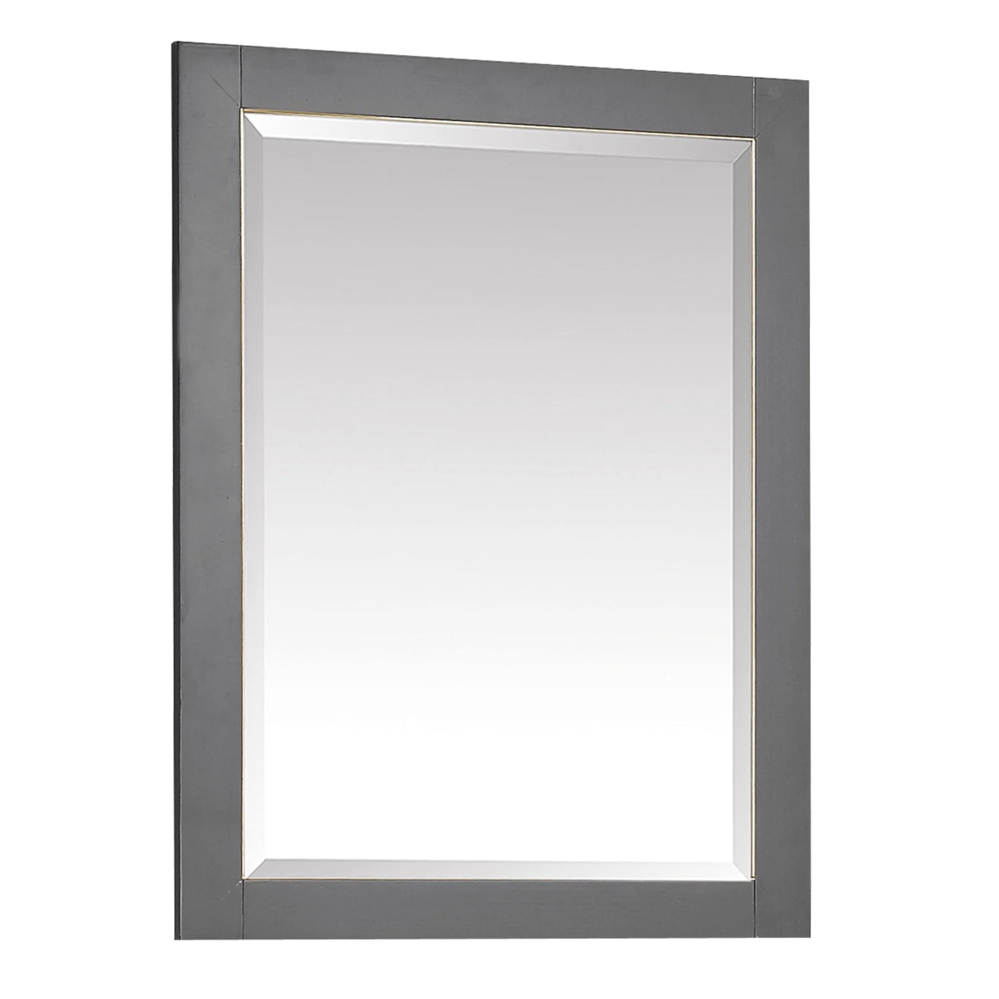 Avanity 170512-M24 Allie/Austen 24" W X 32" H Contemporary Rectangular Framed Bathroom