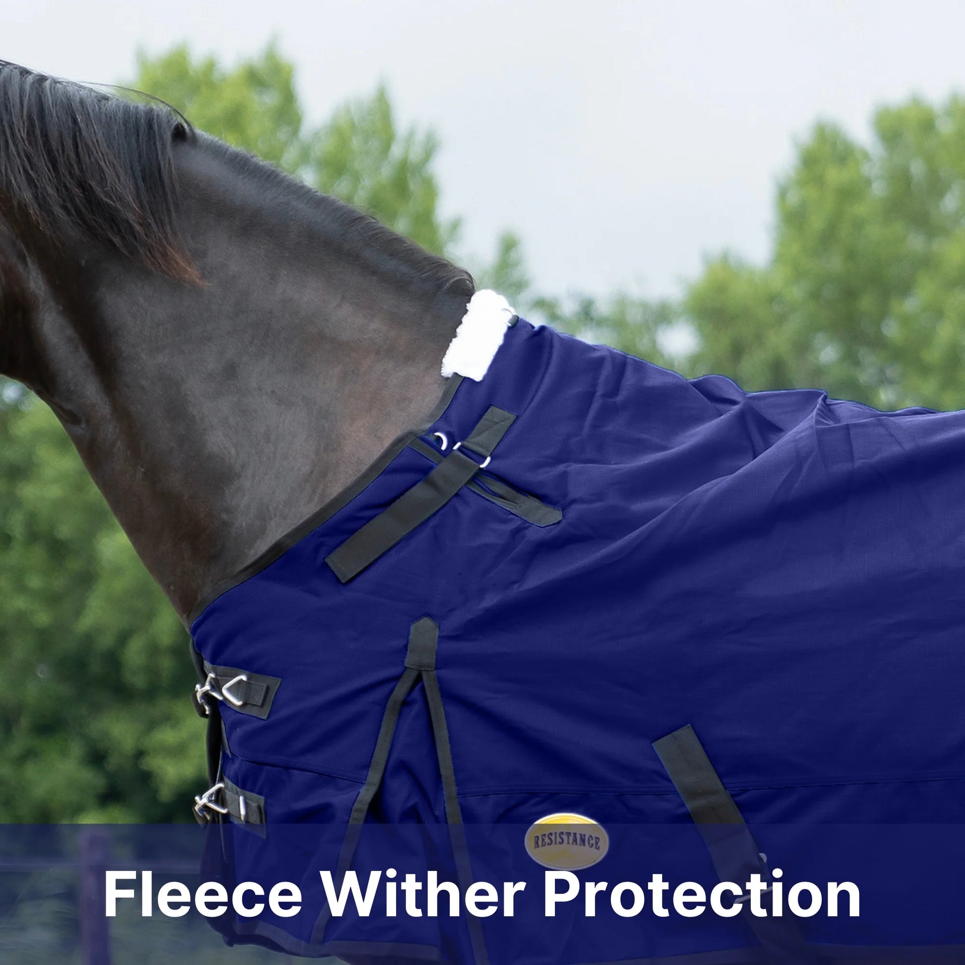 RESISTANCE Premium 1680D Waterproof Horse Turnout Blanket with 300g Polyfill & Adjustable Buckle Closure