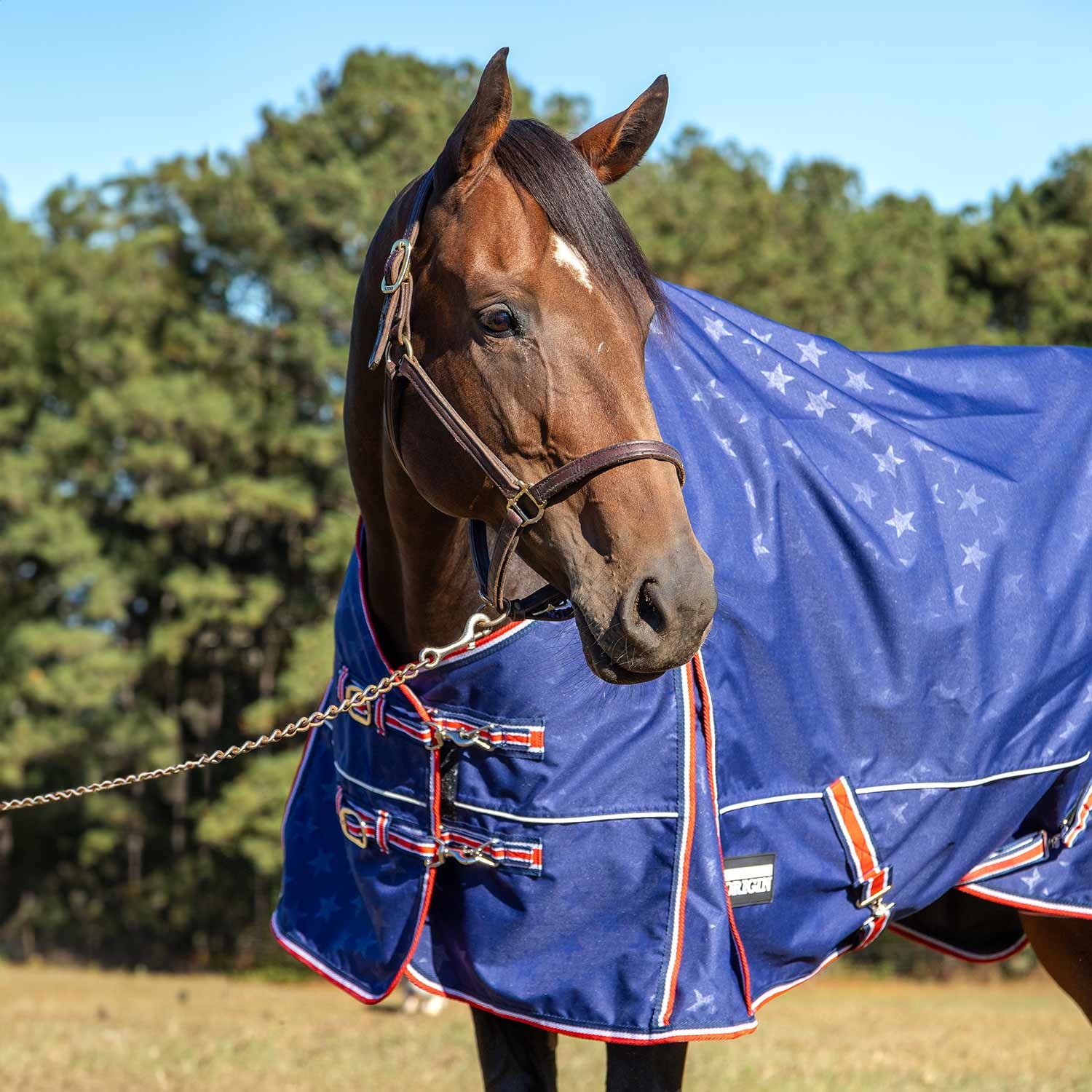 Jeffers Poplar Head Origin 600 Denier Turnout Blanket | 240 Gram Polyfill | Waterproof, Breathable, Horse Blanket for Cold Weather | Navy with Star Print, Adjustable Straps, Fits 72"