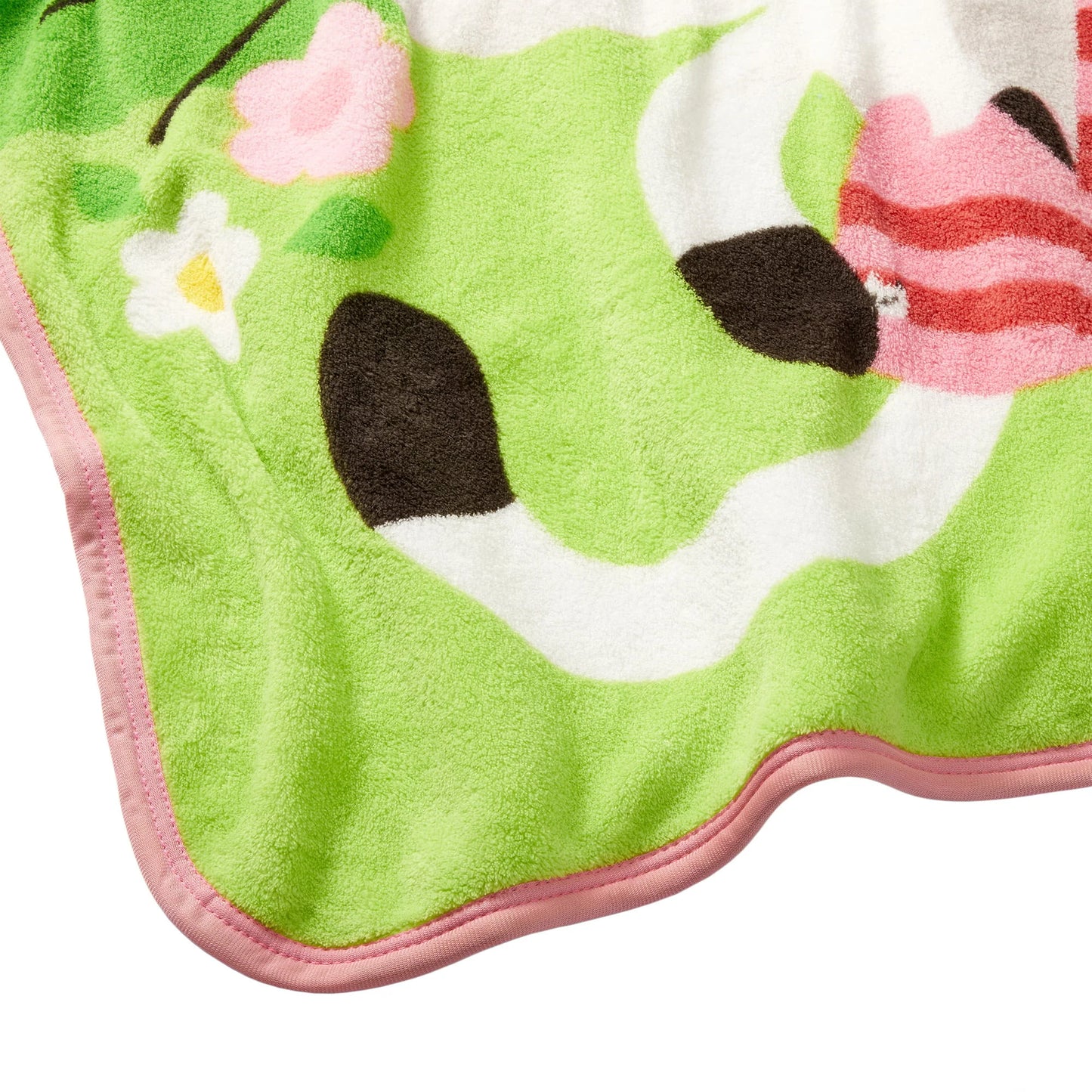 Gabby's Dollhouse Kids Fleece Throw Blanket, 46 x 60, Blue and Green, DreamWorks