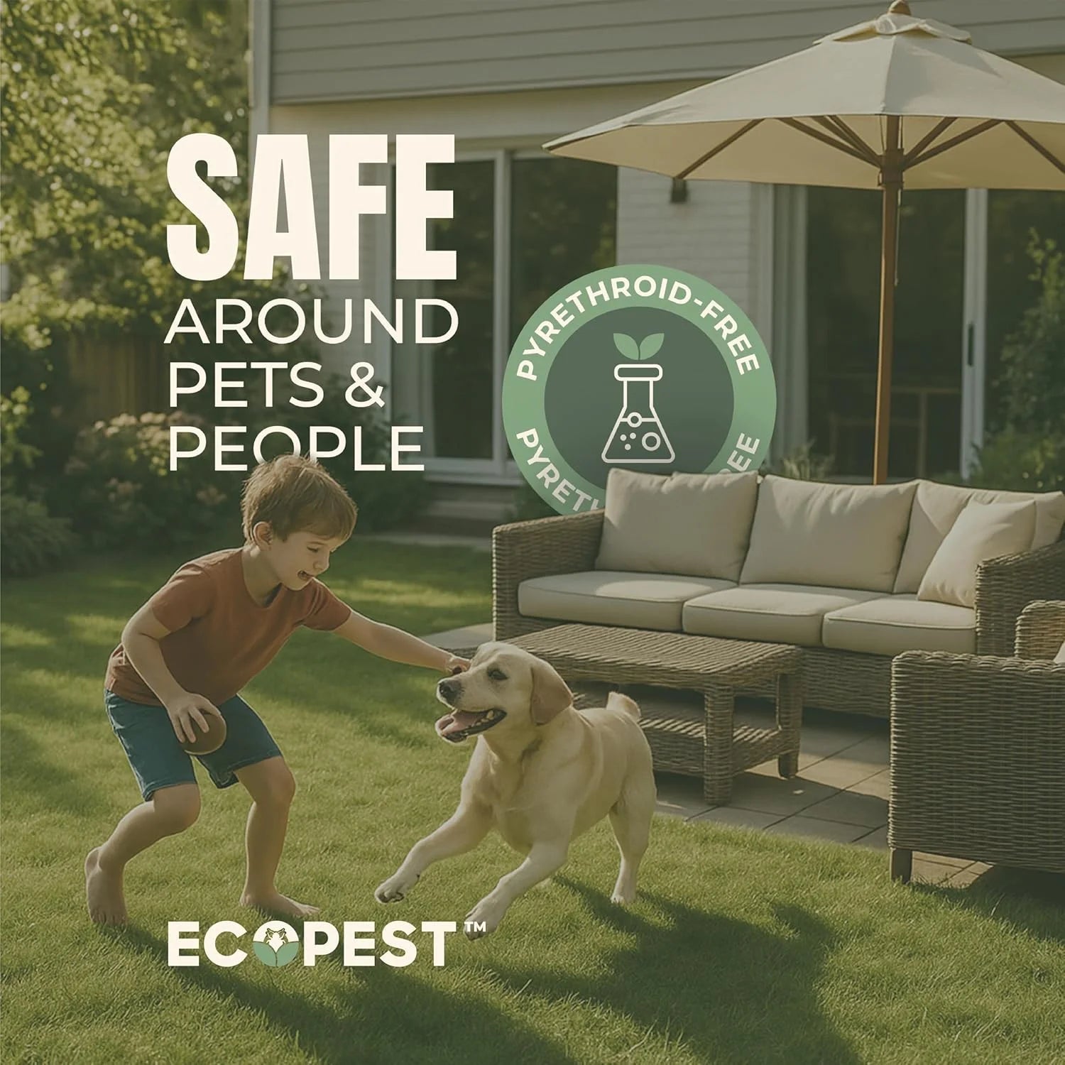 Mite Spray - Natural Killer for Dust, Bird, Spider, Scabies & Other Mites | Bedding & Furniture-Safe | Treatment for Chickens, Poultry, Dogs, Cats, Reptiles & Other Pets | Indoor & Outdoor (1 Gallon)