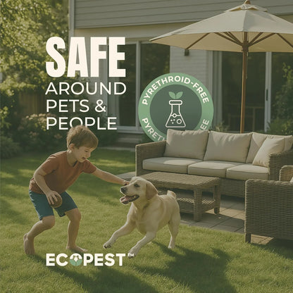 Mite Spray - Natural Killer for Dust, Bird, Spider, Scabies & Other Mites | Bedding & Furniture-Safe | Treatment for Chickens, Poultry, Dogs, Cats, Reptiles & Other Pets | Indoor & Outdoor (1 Gallon)