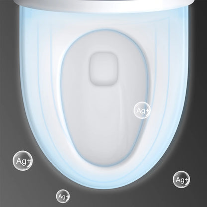 HOROW Tankless Toilet, Modern Smart Toilet without bidet, Self Cleaning One Piece Toilet with Warm Elongated Seat,Heated Toilet HR-T10SD