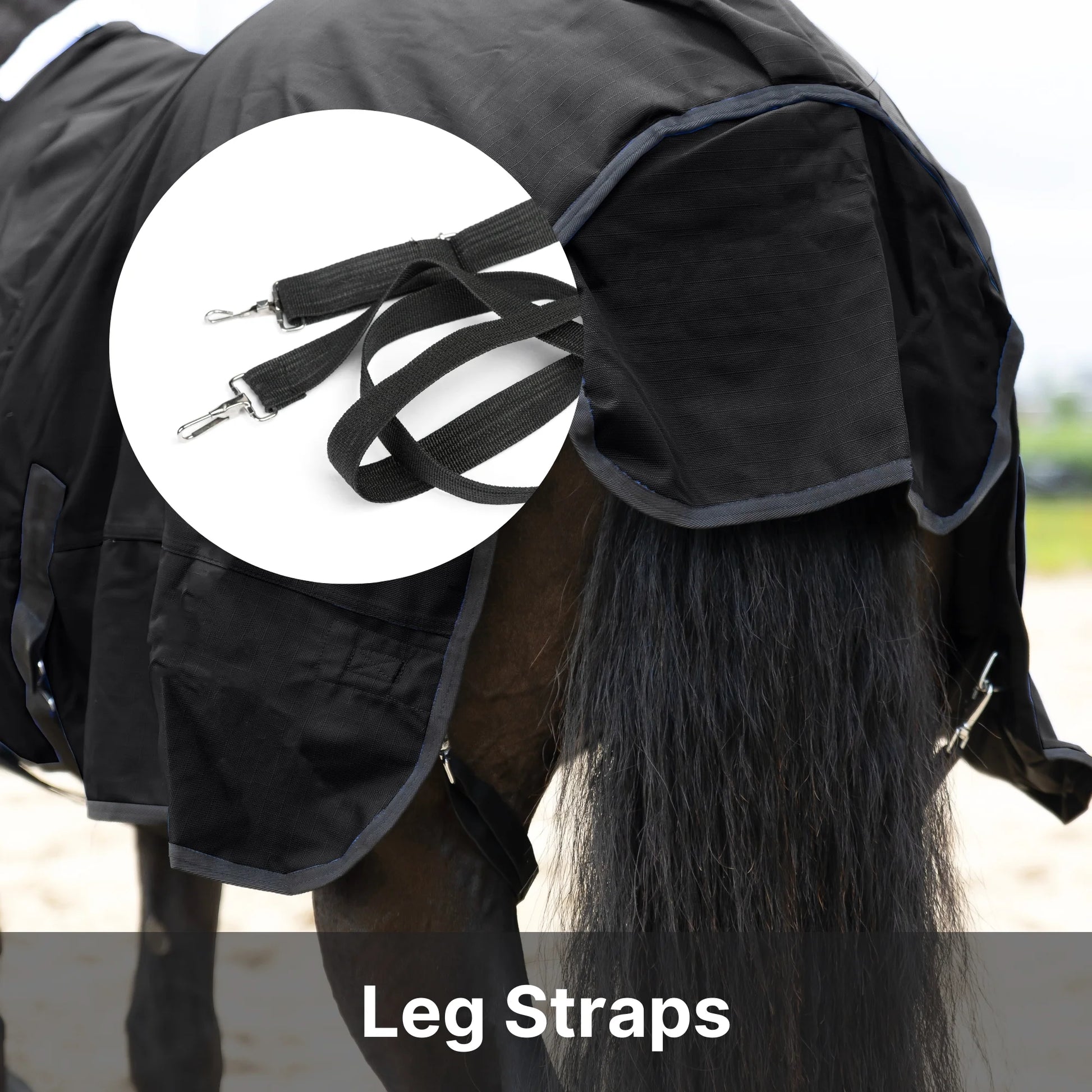 RESISTANCE Premium 1200D Waterproof Horse Turnout Blanket with 300g Polyfill & Adjustable Buckle Closure