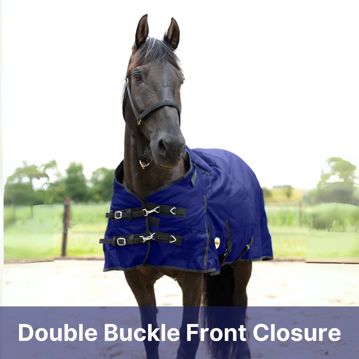 RESISTANCE Premium 1680D Waterproof Horse Turnout Blanket with 300g Polyfill & Adjustable Buckle Closure