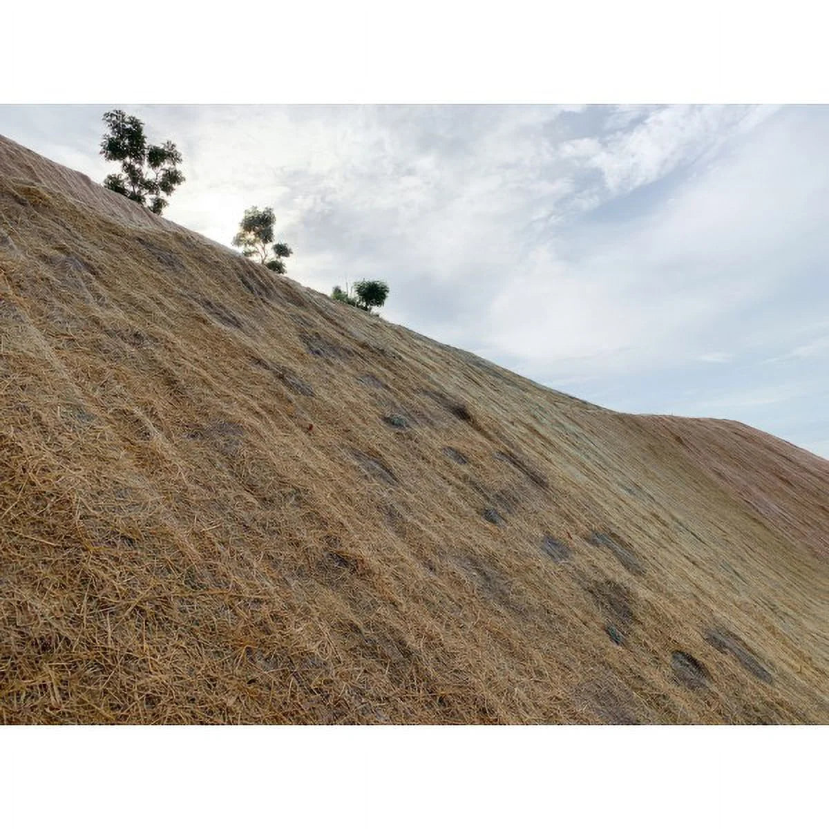Farm Plastic Supply - Erosion Control Blanket - 7.5' x 112.5' - Coconut Garden and Landscape Cover, Erosion Control Blanket, Coconut Blanket, Erosion Control, Mulch, Slope Stabilizer