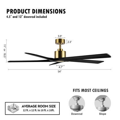 Bed Bath & Beyond WINGBO 54-inch Ceiling Fan with 5 Reversible Solid Wood Blades