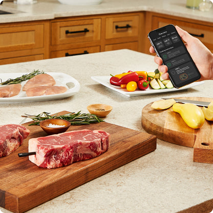 Chef iQ Smart Thermometer and Hub, 2-probe Set