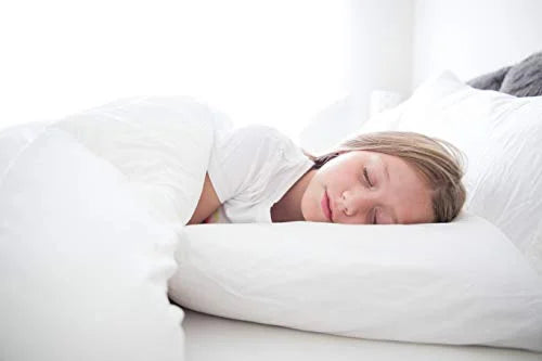 Pacific Coast Touch of Down King Size 2-Pillow Set with 2 King Size Pillowtex Pillow Protectors