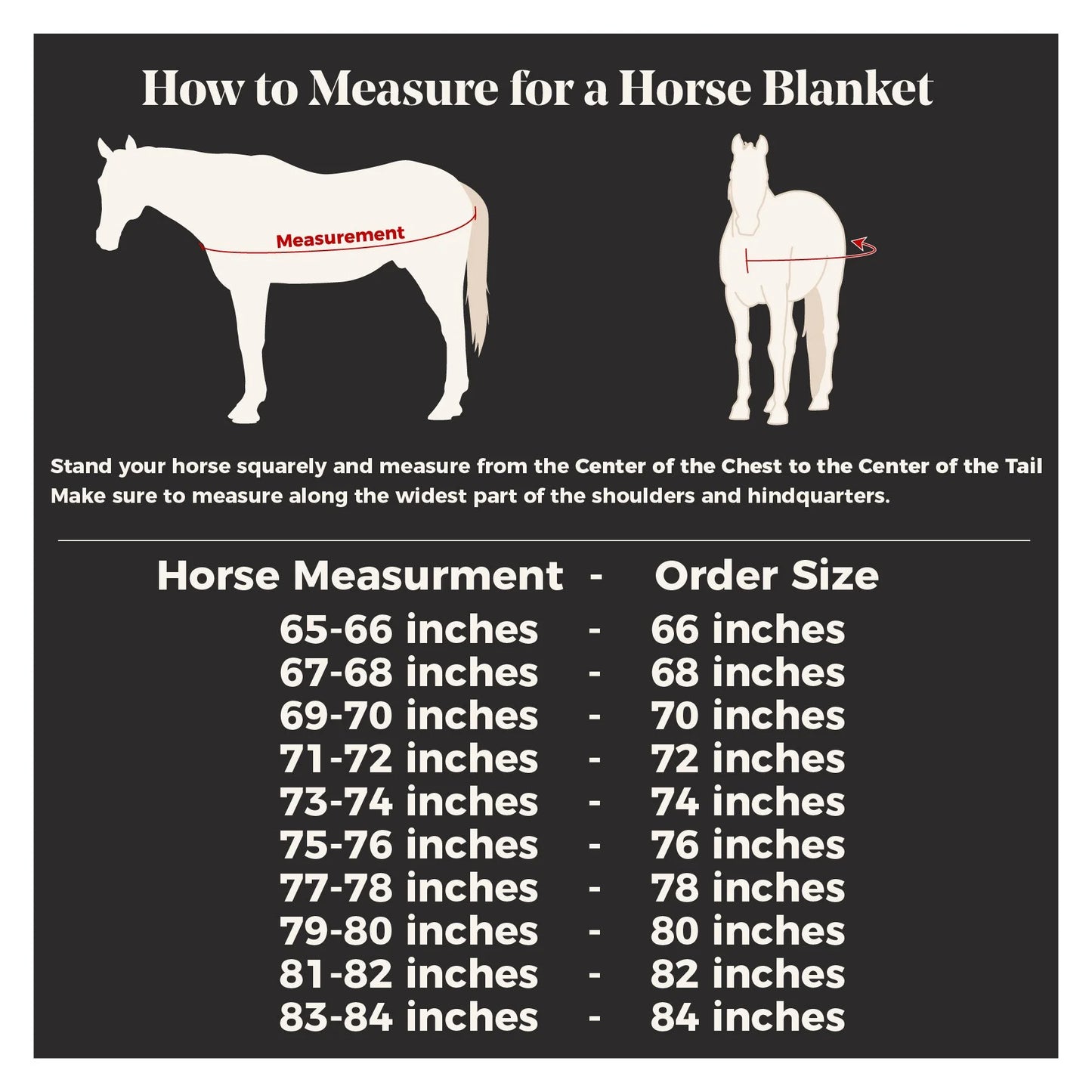 STORM SHIELD Classic II Medium Horse Turnout Blanket | Color Royal | Size 74