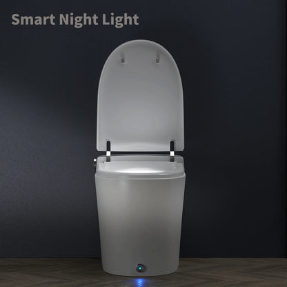 HOROW Luxury Smart Toilet, with Bidet Built-in, Automatic, Auto Open/close Lid, Heated Bidet Seat