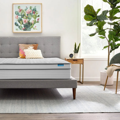 Linenspa Dreamer 12" Hybrid Mattress, Queen